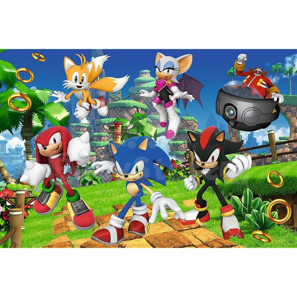 Trefl Trefl - Puzzles - Wood Craft Junior - Smart Sonic / SEGA Sonic The  Hedgehog_FSC Mix 70% Planet Happy BE
