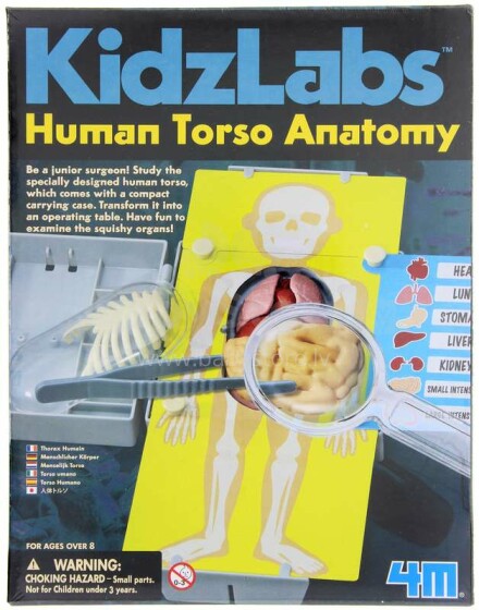 4M Anatomy Art.00-03373 Komplekts Cilvēka anatomija