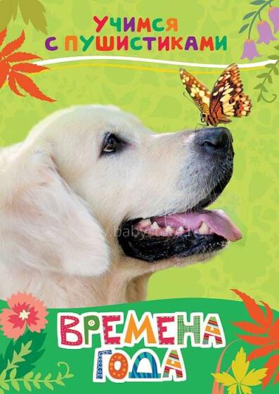 Bērnu grāmata ( kriev. val.) Времена года