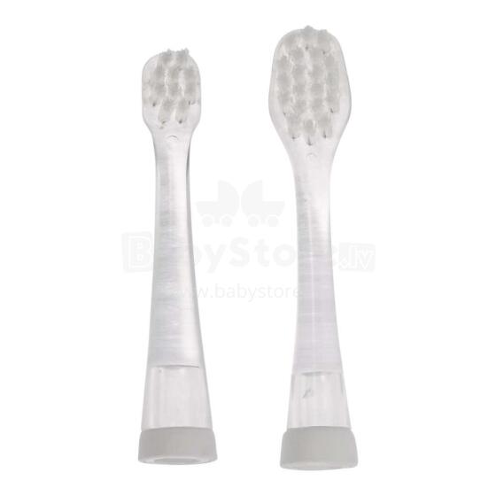 Bbluv Toothbrush Art.B0117