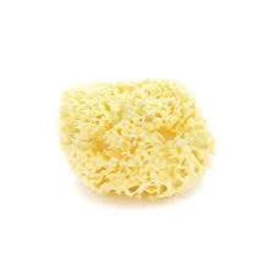 Bellini  Natural Sea Sponge Silk Fine №10  Губка натуральная морская детская