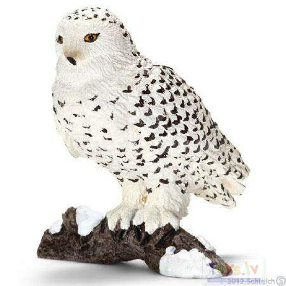 Schleich Baltā pūce