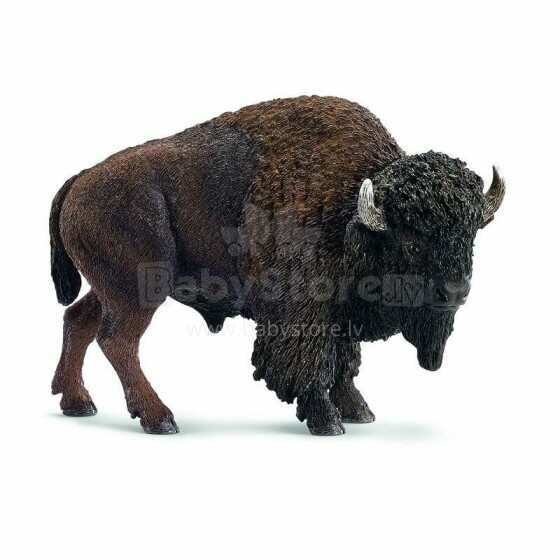 Schleichas Amerikos bizonas