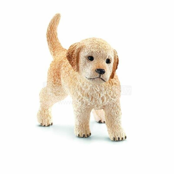 Šleicho auksaspalvių retriverių šuniukas