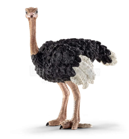 SCHLEICH Strauss
