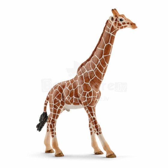Schleich Žirafes tēviņš