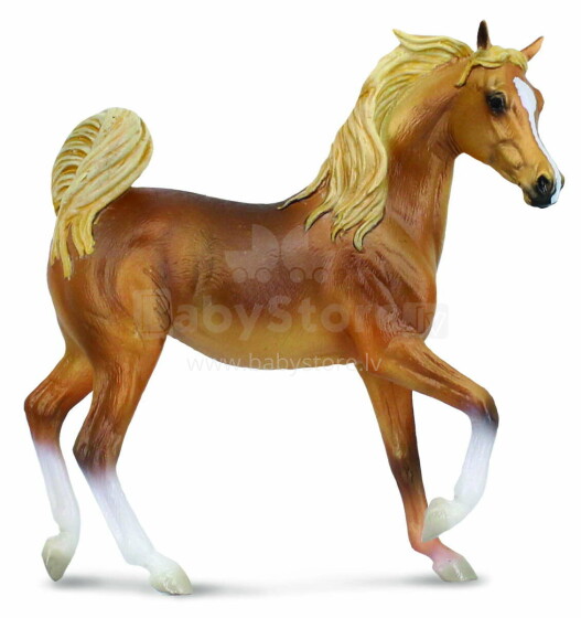 COLLECTA (XL)  Arābu zeltaini brūna ķēve