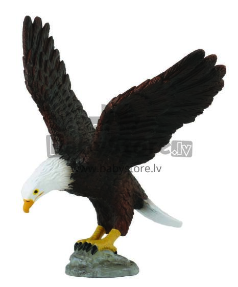 COLLECTA (M) Amerikas baltgalvas ērglis