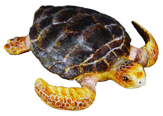 COLLECTA (M) Bruņurupucis 88094