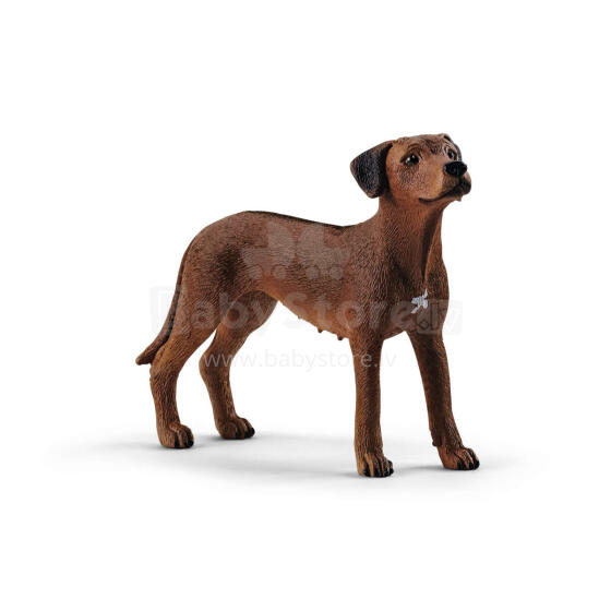 SCHLEICH FARM WORLD Rodēzijas ridžbeks