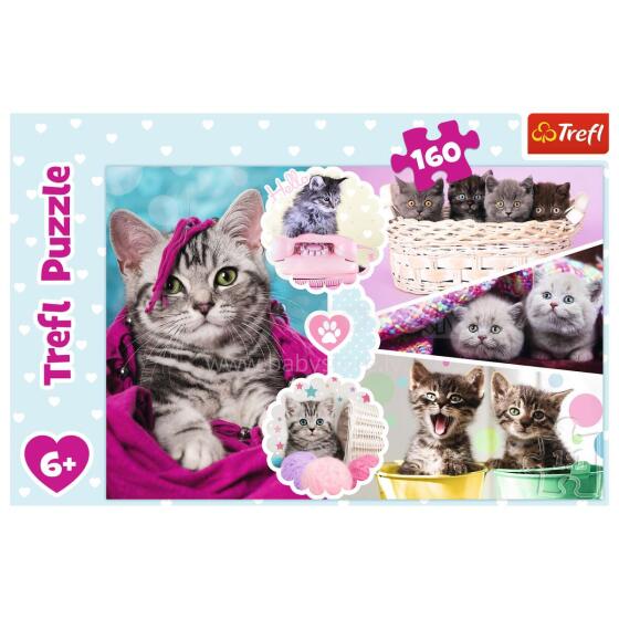 TREFL Puzle 160