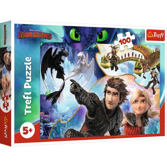 Trefl Puzle Dragon Art.129119 Puzle,100 gab