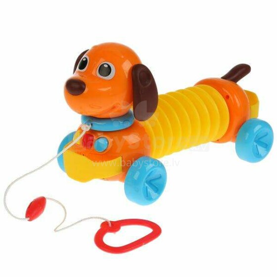 Gerardo Toys Dog  Art.WD3772/12 Bērnu stumjamā rotaļlieta Sunītis