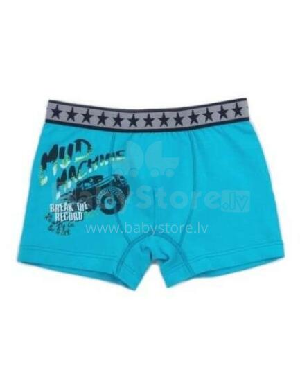 Bembi Art.NB13/000  Трусики для мальчиков из 100%  хлопка ,3 gab