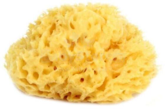 OK Baby Nat. Sea Sponge Fine Dama №14 Art.38481400