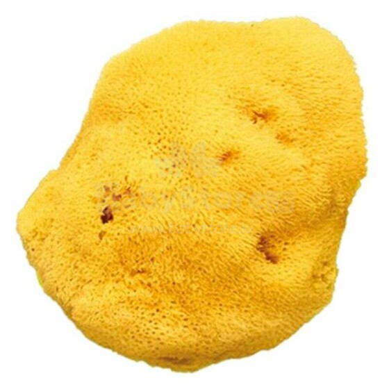 OK Baby Nat. Sea Sponge Honeycomb №16 Art.38481600  Laste mere naturaalne käsn