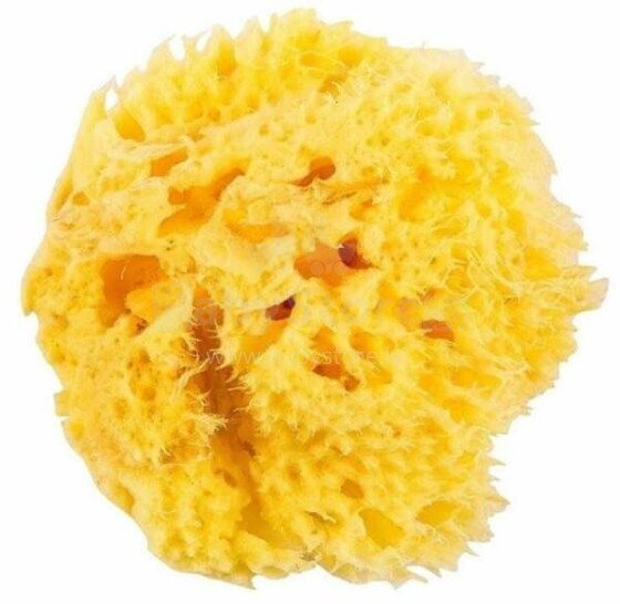 OK Baby Nat. Sea Sponge Honeycomb №12 Art.38471200 Dabīgais jūras sūklis