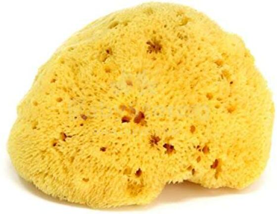 OK Baby Nat. Sea Sponge Honeycomb №14 Art.38471400 Dabīgais jūras sūklis