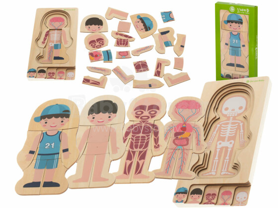 Ikonka Art.KX5957_1 Wooden layered puzzle montessori body building boy
