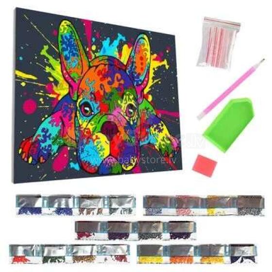 Splat Planet Diamond Painting Art.SP45560 Dimantu mozaīkas komplekts