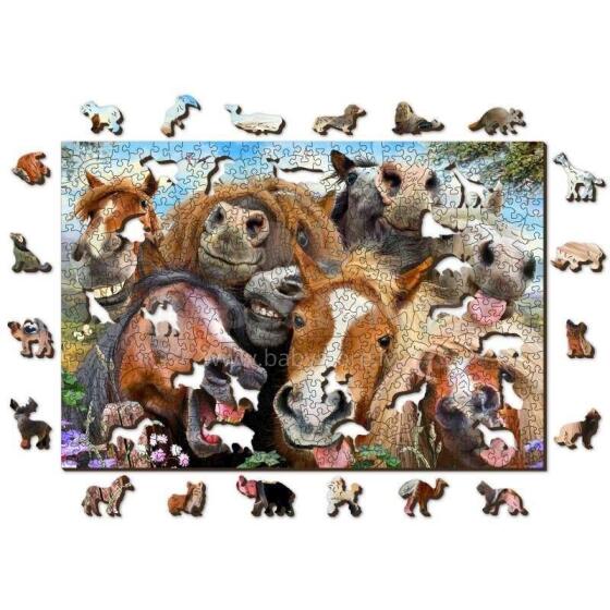Wooden City Wood Puzzle  Art.AN 505-0015-L Wooden developmental puzzle