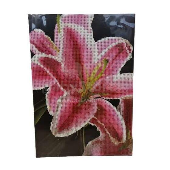 Diamond Painting Art.CR2045/GE/2 Krāsojamas lapas