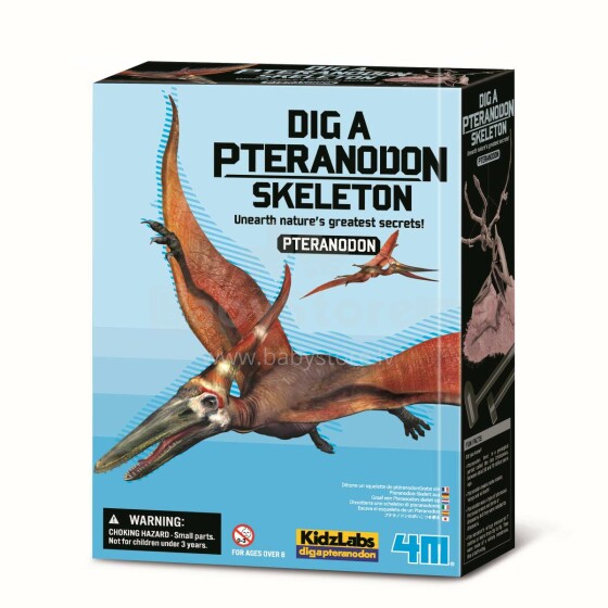 4M Etsi luuranko Pteranodon