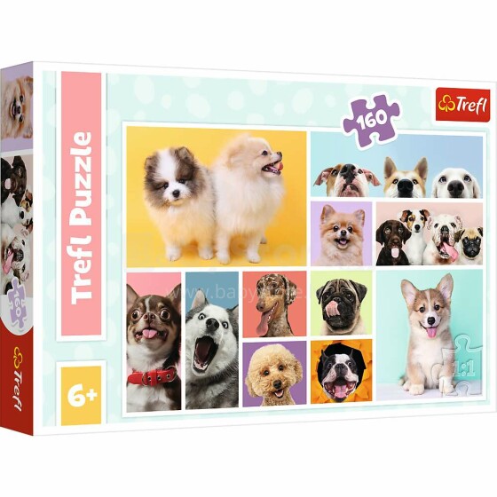 TREFL puzzle Dogs 160 pcs