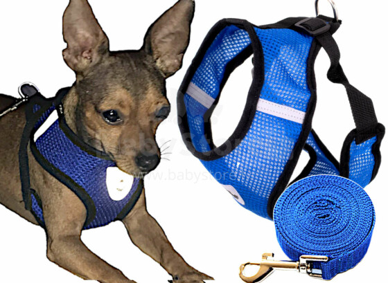 Ikonka Art.KX6840 Tensionless dog harness + leash XL