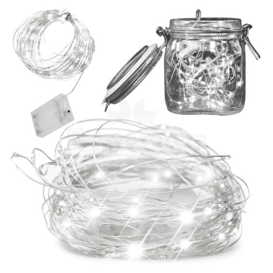 Ikonka Art.KX5253_1 LED decorative wire lights 10m 100LED cold white