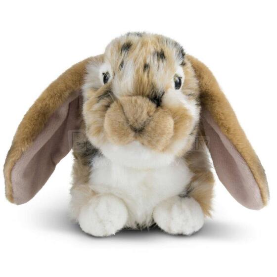 Living Nature Dutch Lop Eared Rabbit Art.AN316B Brown Мягкая игрушка