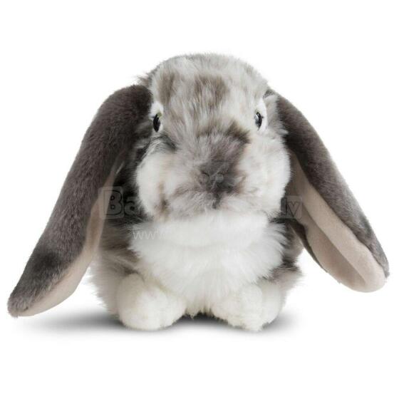 Keycraft Living Nature Dutch Lop Eared Rabbit Art.AN316G Grey Мягкая игрушка
