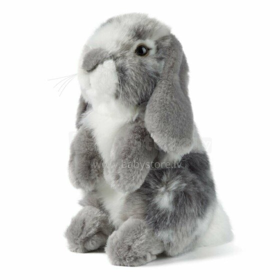 Living Nature Sitting Lop Eared Rabbit Art.AN345G Grey Mīkstā rotaļlieta