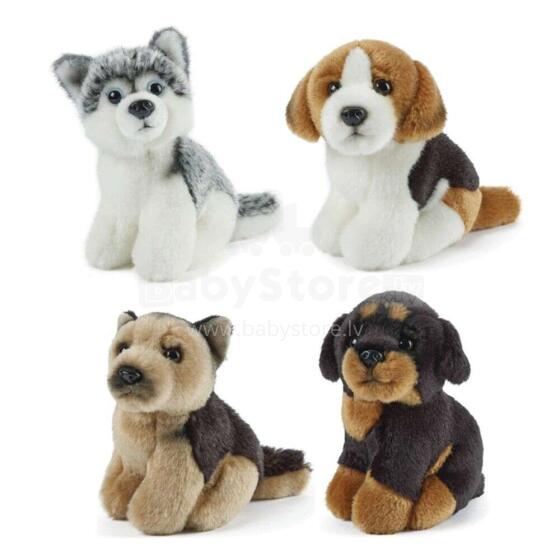 Keycraft Living Nature Miniature Dogs Assorted Art.AN366 Mīkstā rotaļlieta