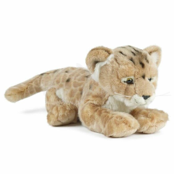 Keycraft Living Nature Lion Cub Art.AN322  Plush toy