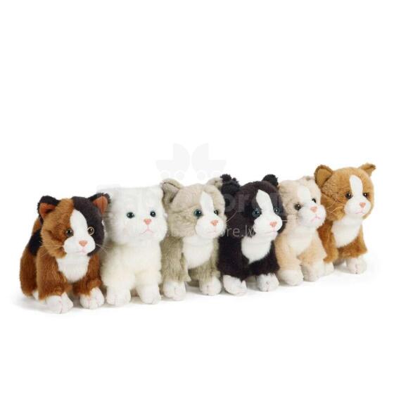 Keycraft Living Nature Cat Small Assorted Art.AN147 Mīkstā rotaļlieta
