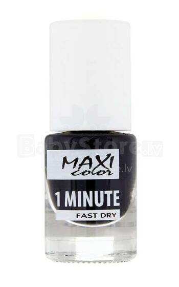 Nag.laka MAXI COLOR 6ml 1min. 004