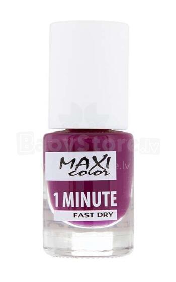 Nagu laka MAXI COLOR 6ml 1min. 041