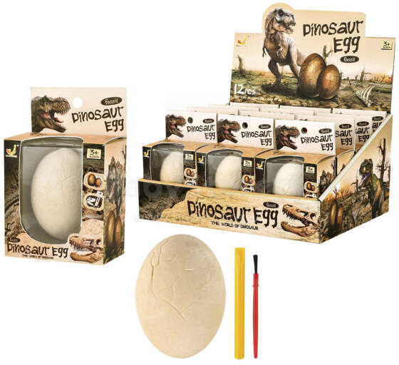 WYKOPALISKA PALEONTOLOG JAJKO DINOZAUR