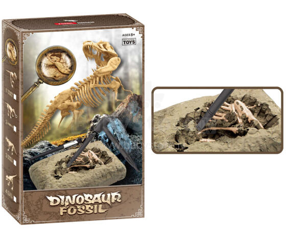 WYKOPALISKA PALEONTOLOG DINOZAUR SZKIELE