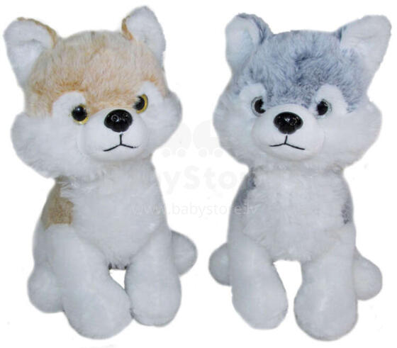 PIES HUSKY 2 KOLORY