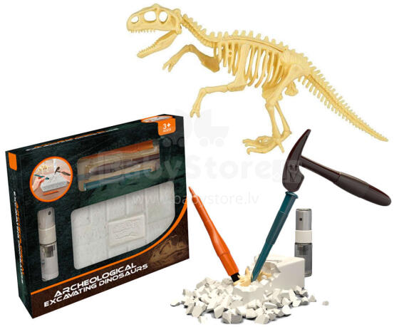 DINOZAUR WYKOPALISKA SKAMIELINA