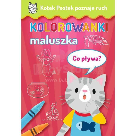 KOTEK PSOTEK POZNAJE RUCH - CO PŁYWA?