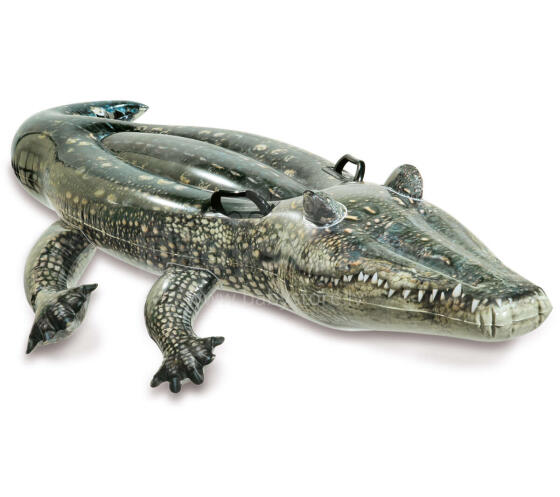 ALIGATOR DO PŁYWANIA