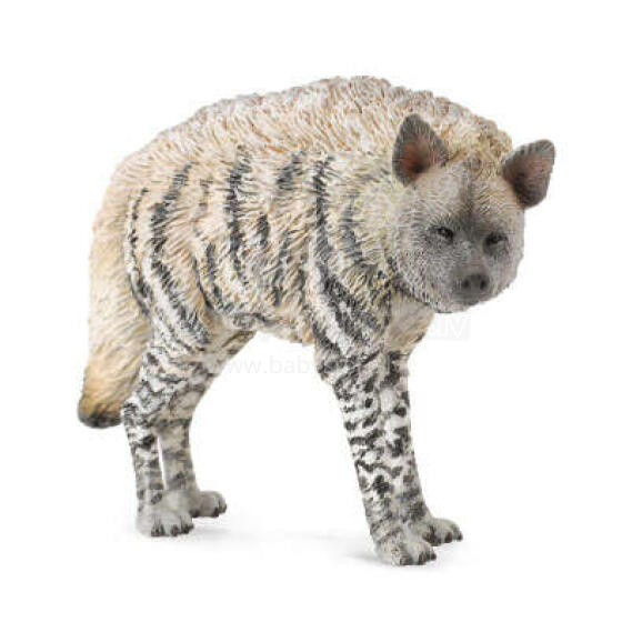 COLLECTA Svītrainā hiēna (M) 88566