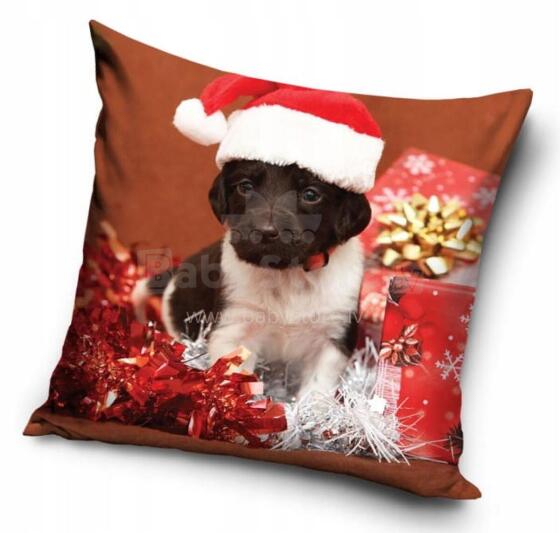 Carbotex Pillowcase Christmas Art.PNL241129 Декоративная наволочка