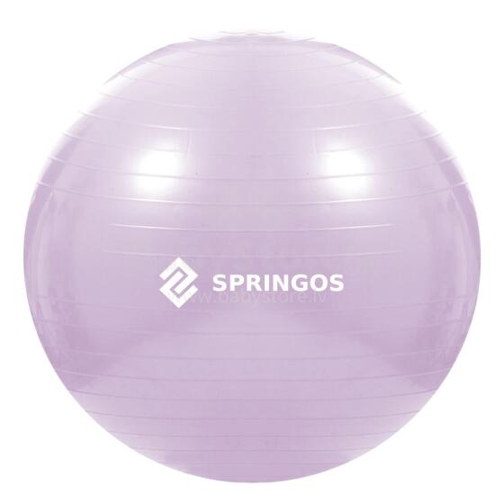 Vingrošanas bumba ar pumpi Springos FB0011 65 cm