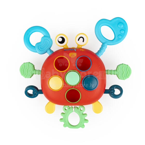 TULI FUN TF 30121 Crab sensory surprises