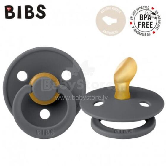 BIBS 111221 Knupis DZELZS S ANATOMICAL