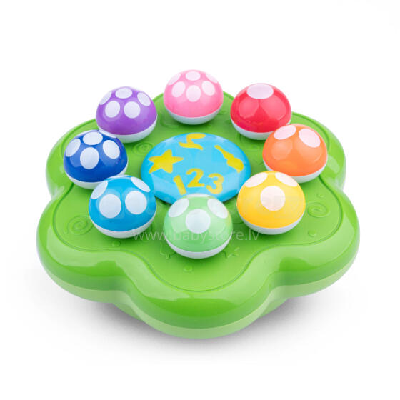 DUMEL DD 62371 Mushroom Symphony